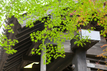 The image of landscape