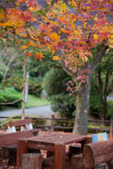 The image of beautiful scenery