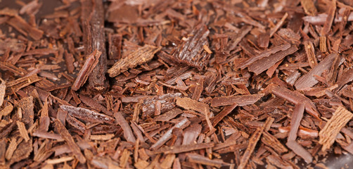 close up of chocolate cake
