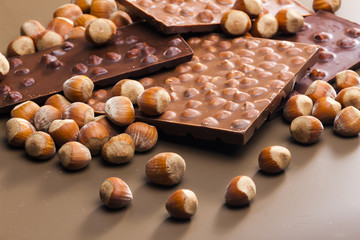 chocolate bars with hazelnuts