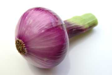 レッドオニオン