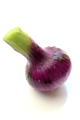 レッドオニオン