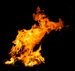 Fototapeta premium Orange fire flames