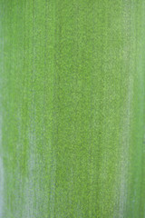 The image of beautiful nature