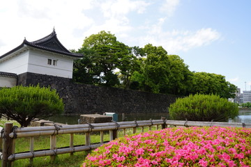 江戸城 春の大手門