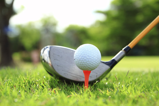 Golf Ball On Tee In Front Of Driver