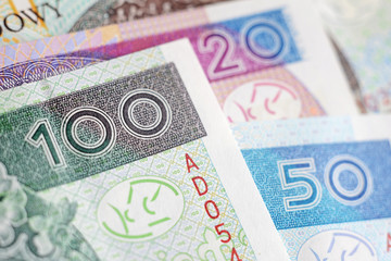 Polish Zloty -new banknotes - obrazy, fototapety, plakaty