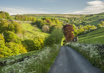Country Road, Yorkshire