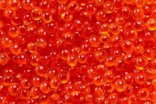 red  caviar