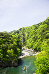 Fototapeta premium 鬼怒川ライン下り