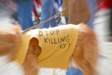 Stop killing us