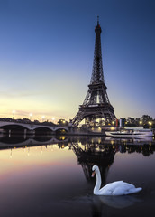 Fototapeta na wymiar Wieża Eiffla o zmierzchu z White Swan