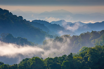 Morning Mist at Tropical Mountain Range