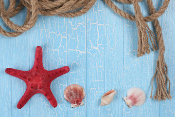 rope shells starfish