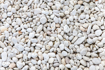 White pebble
