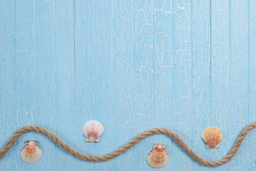 shells rope   on blue  background