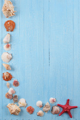 shells  starfish   on blue  background