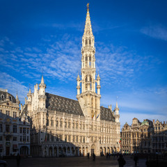 Fototapeta na wymiar La Grand Place, Brussels