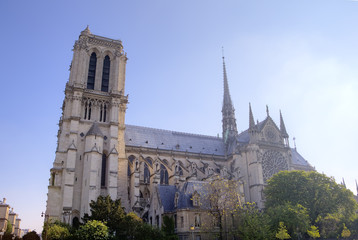 Fototapeta na wymiar The Notre dame de Paris church. Paris, France