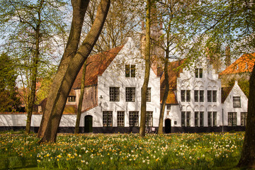 Fototapeta na wymiar Begijnhof in Bruges, Belgium