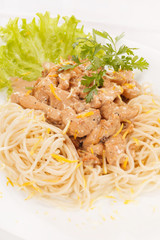 pasta with meat