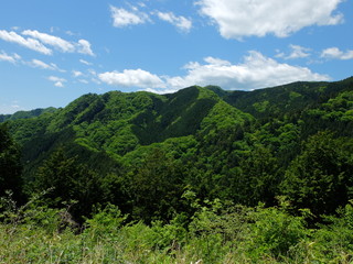 Obraz premium 御岳山 東京