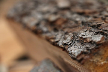 Holz