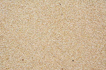 Quinoa grains