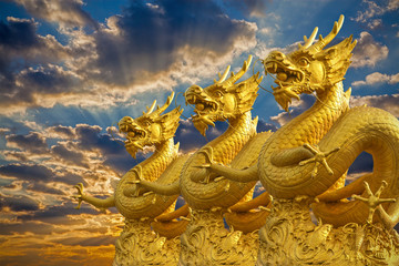 Fototapeta premium Chinese Golden Dragons Statue with sunset