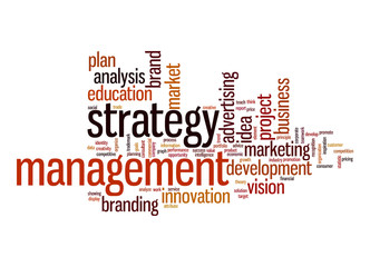 Fototapeta premium Strategy management word cloud