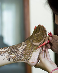 applying henna , bride, wedding ,Rajasthan, India