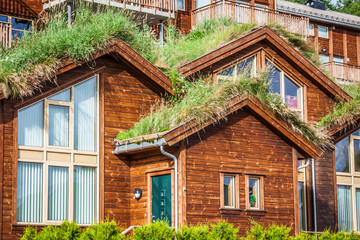 Typical norwegian house with grass on the roof © Lukasz Janyst