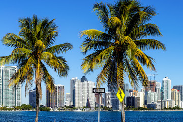 Obraz na płótnie Canvas Miami Downtown skyline