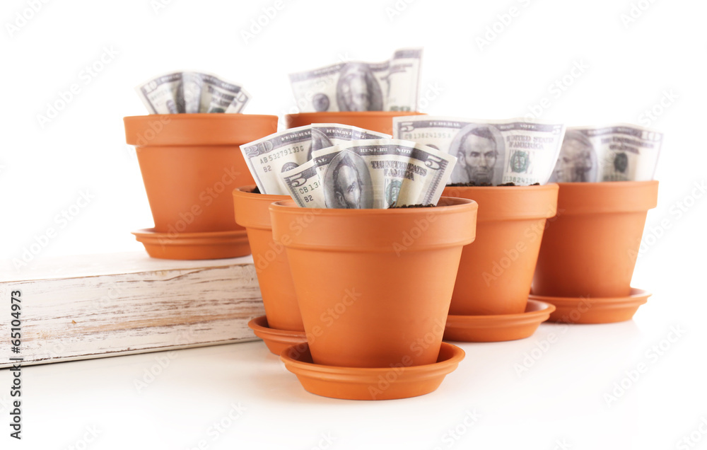 Wall mural business concept: growing money in the flowerpots, isolated