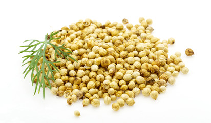 Coriander seeds