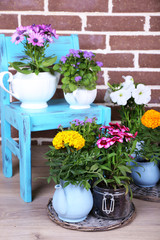 Flowers in  decorative pots on chair, on bricks background
