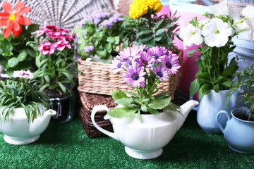 Obraz na płótnie Canvas Flowers in decorative pots and garden tools
