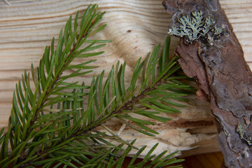 fir branch and bark on a wooden board