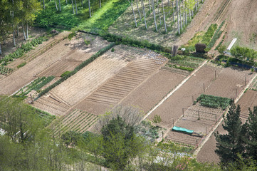 gardens for cultivation