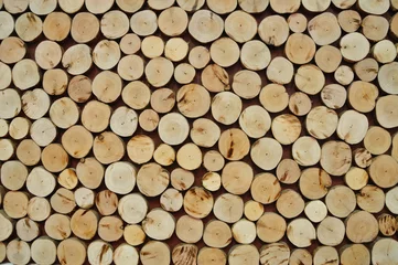 Möbelaufkleber Pile of wood logs © thampapon1