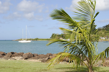 Castries harbour St Lucia