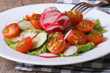 Fresh salad of cucumbers, tomatoes, radishes and green onion