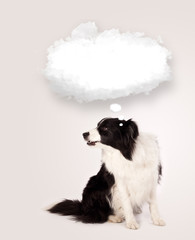 Cute dog with empty cloud bubble