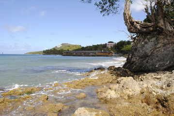 Fototapeta na wymiar Warfe Beach St Lucia