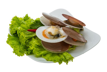 Raw fresh scallops
