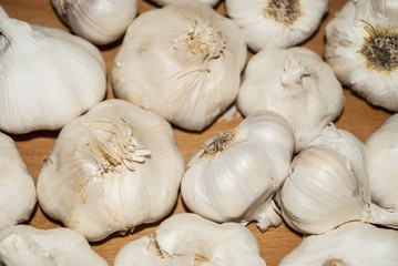Bio Garlic