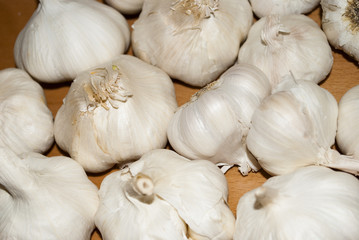 I'm not afraid of Vampires