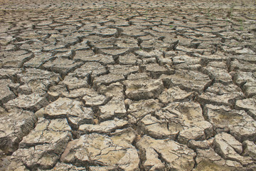 Texture of cracked soil ground