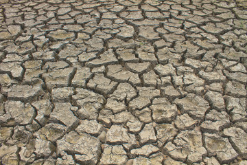 Texture of cracked soil ground