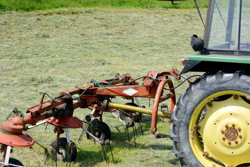 Kreiselschwader am Traktor